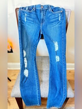 James Jeans Twiggy. Denim. Distressed. Straight leg. Size 31